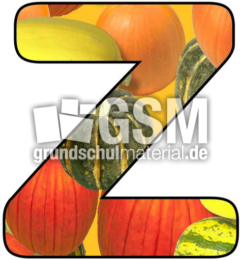 Herbstbuchstabe-8-Z.jpg